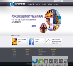 新大龙科技